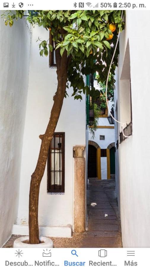 Apartamento Centro-Mezquita 4 A 8 Huespedes Córdoba Exterior foto